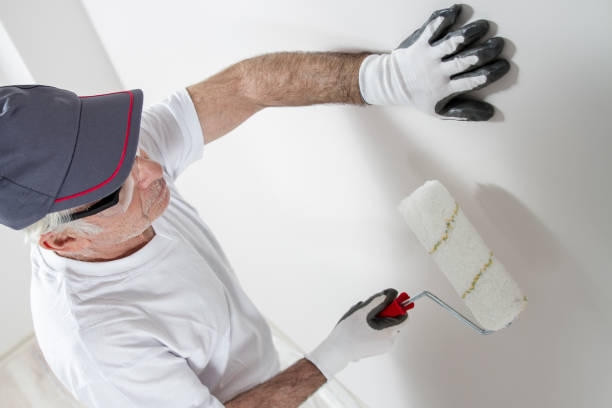 Best Basement Mold Removal  in Ack, NY