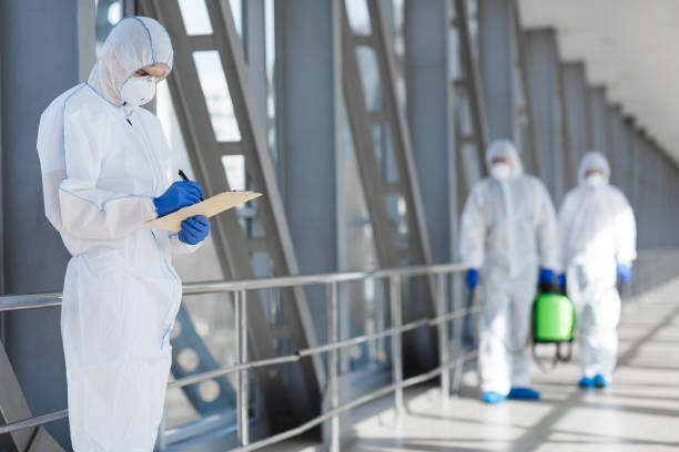 Best Industrial Mold Remediation  in Ack, NY
