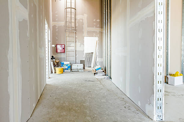 Best Commercial Mold Inspection  in Ack, NY