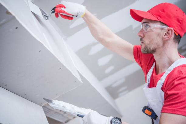 Best Mold Remediation for Healthcare Facilities  in Ack, NY